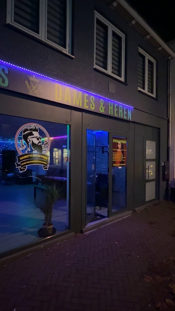 Hairstyling de Prins in de avond, met verlicht logo
